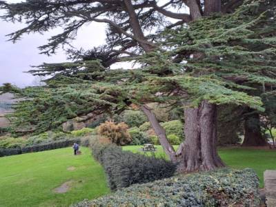 Excursiones desde Dublín a Irlanda del Norte - De viaje con blog