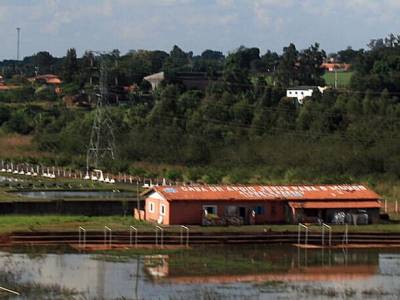 La agricultura y la sexta extinción masiva