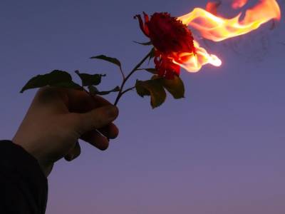 Conformarse con la falsa felicidad, quieres? O pierdes?