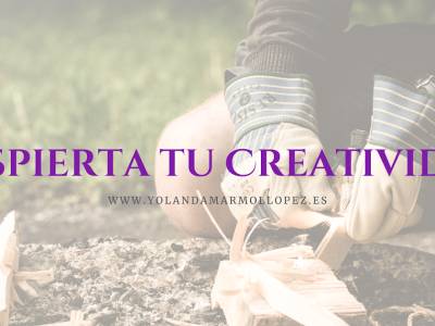 Fluye y Despierta tu Creatividad