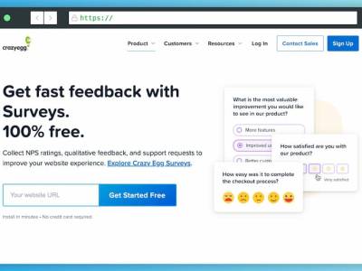 Surveys by Crazy Egg: opiniones de tus visitantes en tu sitio