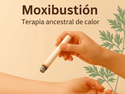 Moxibustión: qué es, beneficios, riesgos y tipo de Artemisia