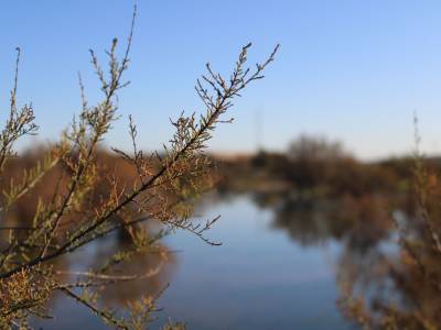 Lagunas temporales en la Salina de San José | Blog de Antonio García