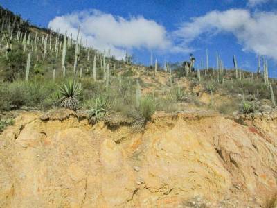 La Paz Inalterable: La Poética Del Desierto (3)