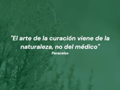 Paracelso, ¿quién fue y cuáles fueron sus aportes?