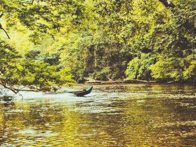 Taman Negara en Malasia: Guía completa 2025 | Qué ver y hacer