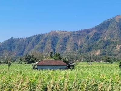Qué hacer en el norte de Bali