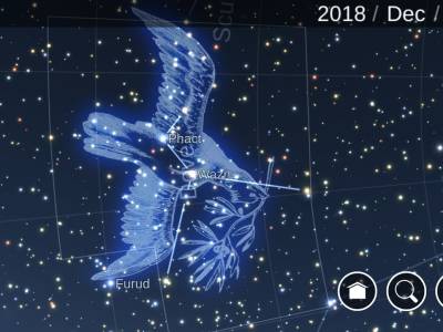 Columba: mensajera del universo