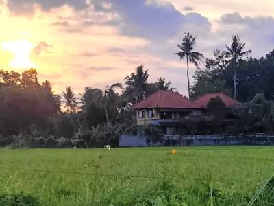 Estafas en Bali: los 9 timos más comunes y cómo evitarlos