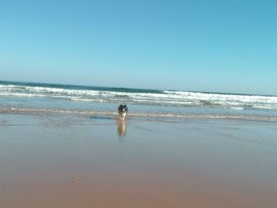Un día especial, explorando la playa y disfrutando del otoño