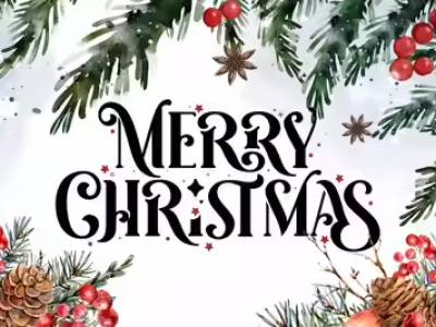 El flamenco geminus especial de navidad ( the end)