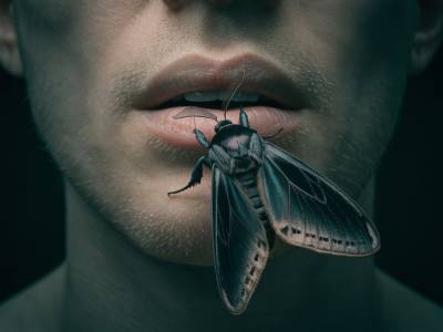 Mariposa negra — El beso