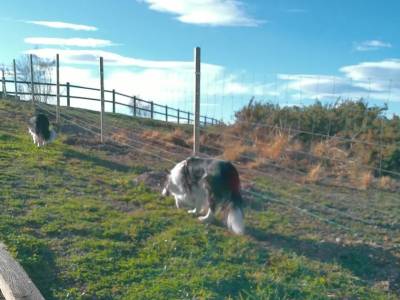 Paso a paso, cima a cima