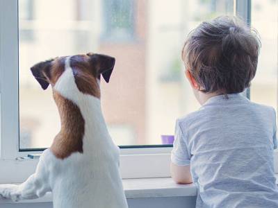 Accidentes evitables: caída de niños desde ventanas - Redes para el hogar