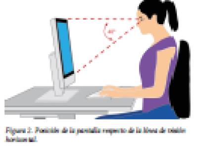 Guía técnica - riesgos relativos a la utilización de equipos con P.V.D. / Medidas Preventivas