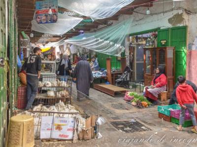 Qué ver en Tetuán en 1 día, Marruecos