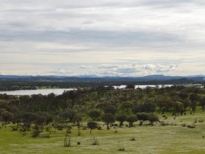 Os segredos de Ferreira