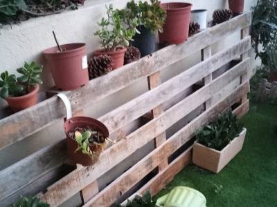 Micros desde mi jardín