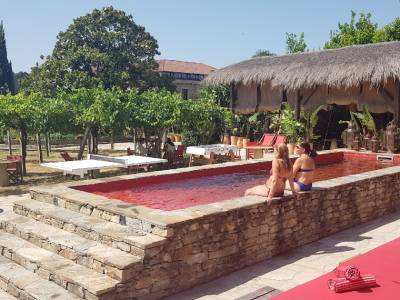 Casa Beatnik y paseo entre Olivos