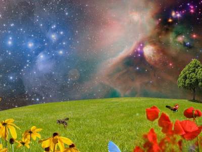 ¿Qué es la 'biodiversidad de pensamiento'?