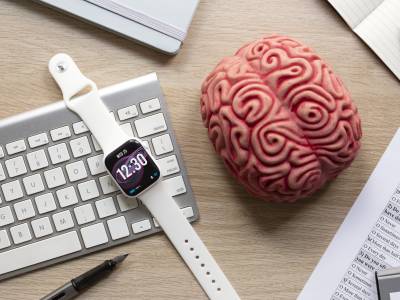 Cómo Potenciar el Cerebro: Neuroeducación y Hábitos - Eduinnova