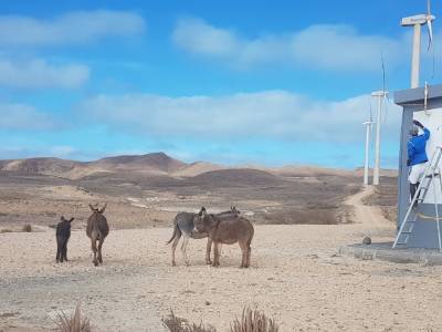 Qué ver en Boa Vista (Cabo Verde) en 7 días: playas y excursiones imprescindibles