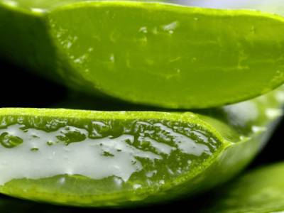 Aloe usos y formatos: por qué no todos los productos son lo mismo