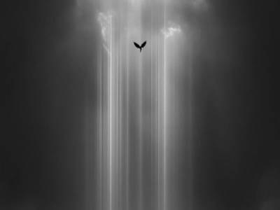 Sentimientos 2
