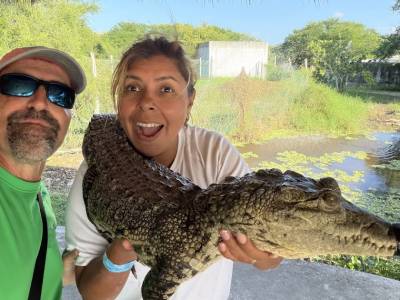 Itzamkanac: Cuando los Cocodrilos Susurran Historias Ancestrales en la Ría Lagartos