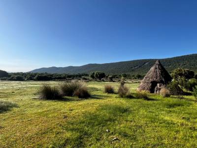 Safari fotográfico en Cabañeros: nuestra experiencia en el Serengeti español • planDviajero