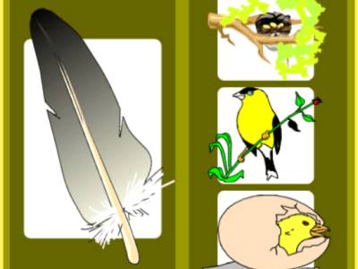Juego de asociación de imágenes