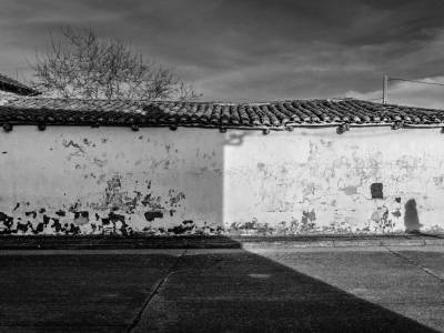 La piel - Poesía