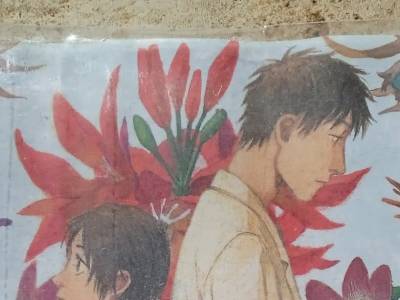 Minireseñas: La barca de los canarios, de Misaki Takamatu; Los girasoles ciegos, de Alberto Méndez