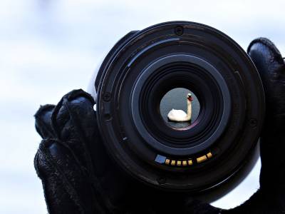 Fotografías | Historias con «K»