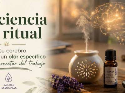 La ciencia del ritual: cómo los aromas ayudan a desconectar
