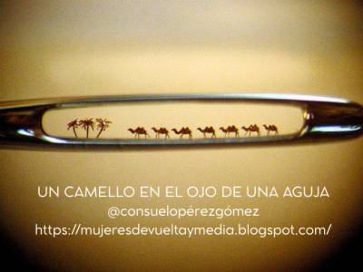 Un camello en el ojo de una aguja