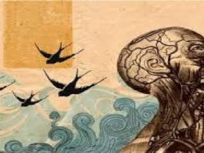 Psicoterapia: Recupera Tu Calidad de vida y Bienestar Emocional Hoy