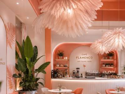 El flamenco geminus: enfrentando miedos 1 parte