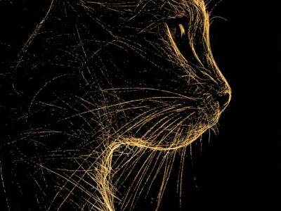 Un gato, Leonard Michaels y la fragilidad de lo cotidiano
