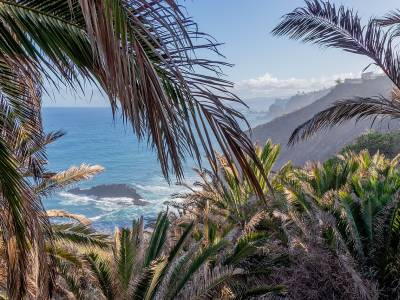Ruta en coche por el norte de Tenerife: 14 lugares secretos