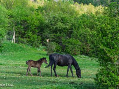 Un momento extraordinario – Latitud28