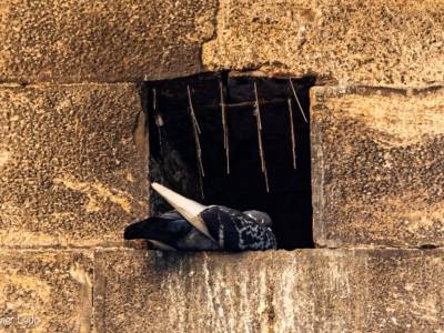 Un callejón sin nombre – Latitud28