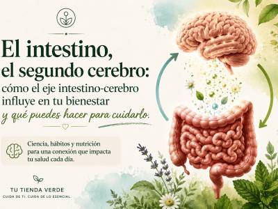 ¿Por qué se dice que el intestino es el segundo cerebro?