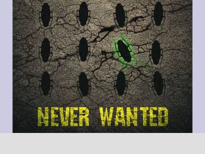 El proyecto de rock Illegal Mind explora la autonomía y las expectativas sociales en 'Never Wanted' - Munduky