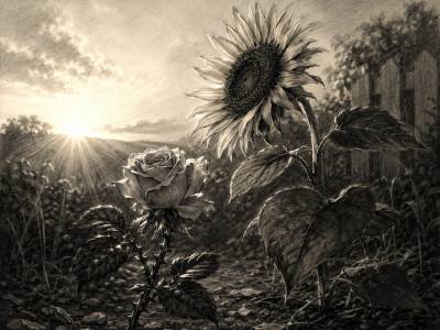El reflejo del sol – Geometría Intima