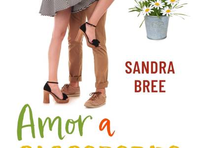 Amor a cascoporro - Sandra Bree