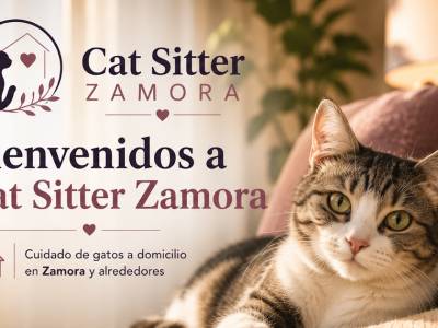 Cat Sitter Zamora