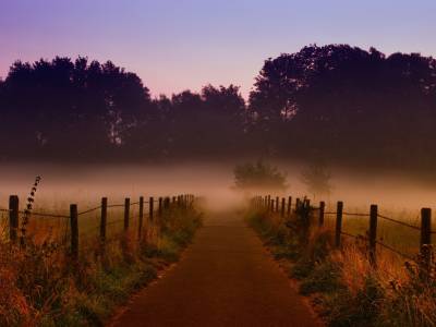 Respiración y ansiedad: vuelve al presente con mindfulness