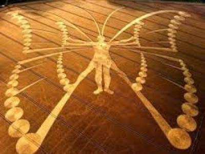 Psicoterapia humanista: encuentra tus propios recursos