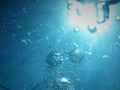 El océano que respira: cómo los mares producen gran parte del oxígeno que respiramos